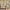 Ivory, variant on Nourison Revel Farmhouse Persian Brick Ivory 2' x 4' Area Rug, (2' x 4')