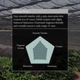 thumbnail image 4 of Matcha orgánico ceremonial Naoki First Spring Blend 50 g, 4 of 7