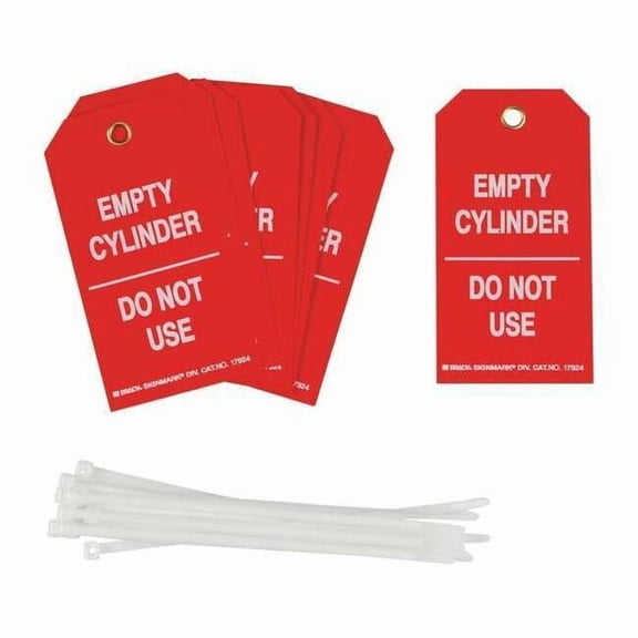 Brady Tag,5 3/4 in H,3 in W,Polyester,PK10 17924