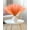 Orange, variant on 60pcs Faux Pampas Grass Decor, 17.7inch Hot Pink Short Artificial Pompous Grass Fluffy Fake Pompas Grass Branches Vase Filler Flower Arrangement for Home Wedding Centerpieces Decor, Rose Red