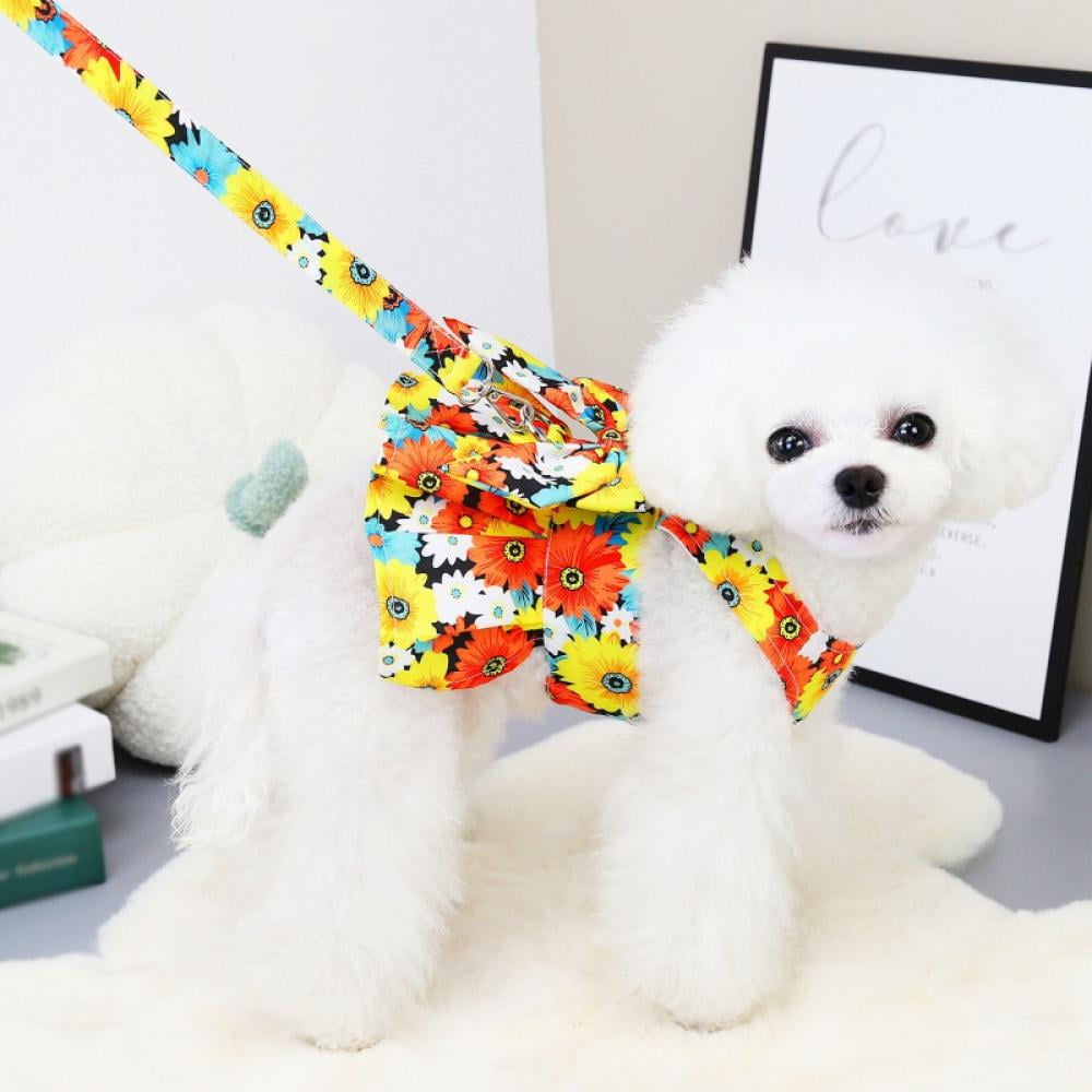 SMALL DOG - Little Lady Doggy Harness