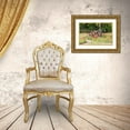thumbnail image 3 of Wilson, Emily M. 32x23 Gold Ornate Wood Framed with Double Matting Museum Art Print Titled - Castroville-Texas-USA-Rusted antique farm equipment in a field of poppies, 3 of 4