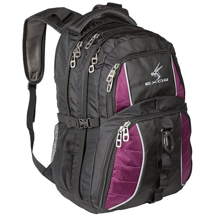 Backpack, (laptop, travel, school or business) Urban Commuter by (Black/Purple)