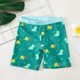thumbnail image 5 of Hienoo Toddler Boys 3Pcs Swimsuit Cartoon Dinosaur Print Rash Guard Swim Trunks Sun Hat Bathing Suit, Sizes 2-7, 5 of 7