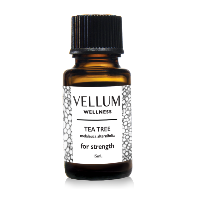 Vellum Wellness Huile Essentielle d'Arbre à Thé / 100 % Pure, Aromathérapie Apaisante et Vivifiante pour Soulager le Stress, Clarté Mentale et Fraîcheur, Atmosphère Propre, 15 ml