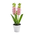 thumbnail image 2 of Hyacinth Bonsai Plastic Potted Plants Simulated Silk Flower Lifelike Home Decoration Suitable For Desktop Office And Wedding Centerpiece Decoration, 2 of 6