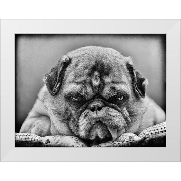 Martha Himburg, Angelika 14x12 White Modern Wood Framed Museum Art Print Titled - The Boss