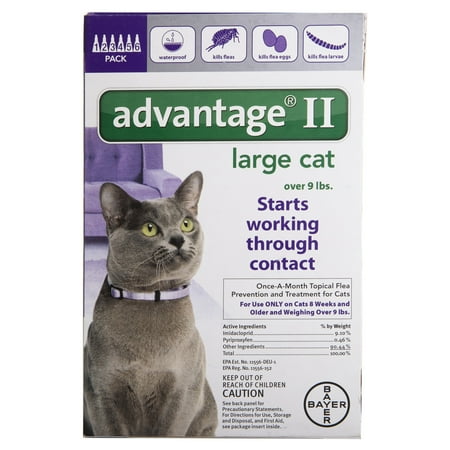 Bayer advantage 2 for cats Clearance