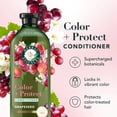 thumbnail image 3 of Herbal Essences Color + Protect Grapseed CN, 13.5oz, 3 of 7