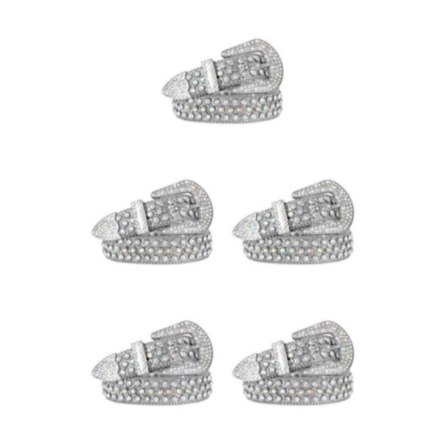 Decodeary Wide Application Rhinestone Belt Western Belt For Parties Bars And Concerts Modify Waist Line Silver 105cm 5Set