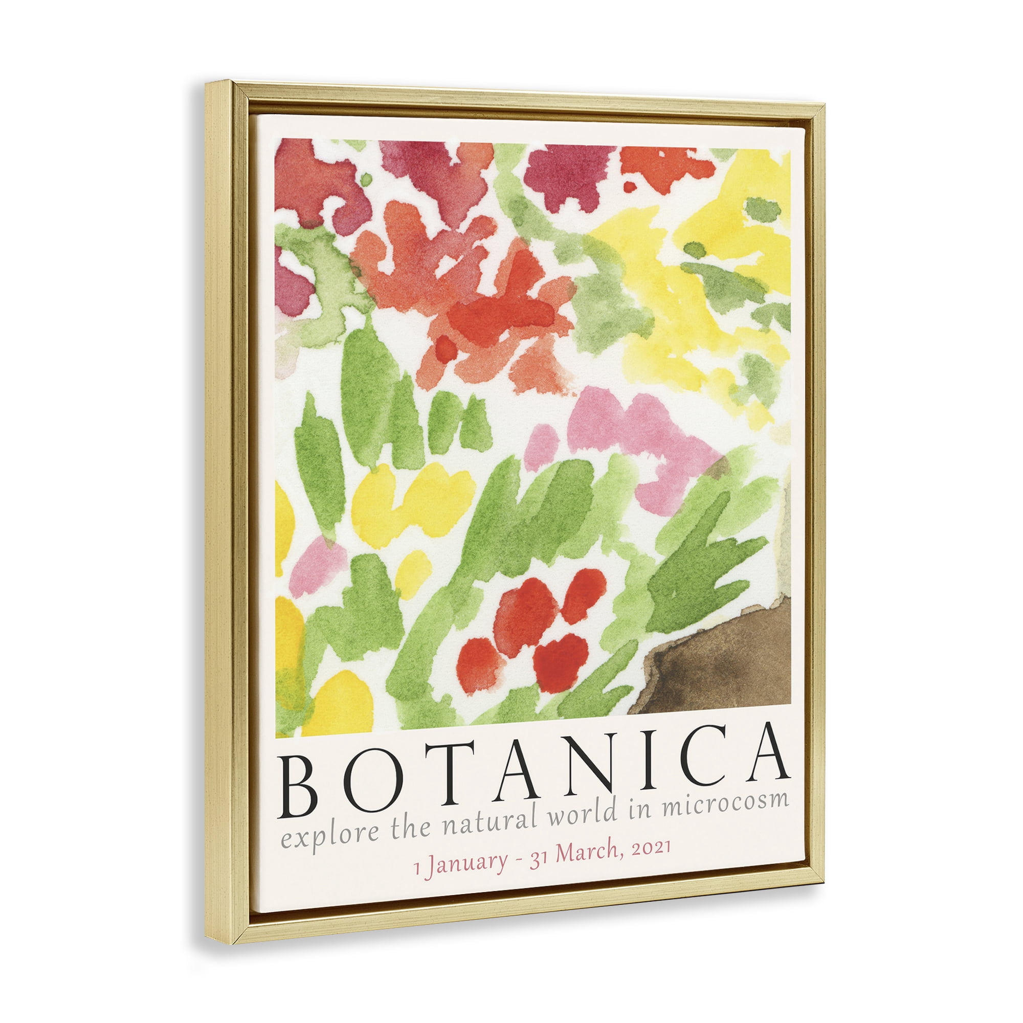 Stupell Industries Botanica Floral Museum Plants & Flowers Painting Gold Floater Framed Canvas Art Print Wall Art, 25 x 31