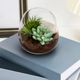 thumbnail image 4 of Glass Flower Vase Round Terrarium Container Small Planter Pot Bowl for Mini Plants and Terrariums 1 Set, 4 of 7