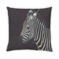 thumbnail image 2 of Ahgly Company Animals Zebra Indoor Throw Pillow, 18 inch by 18 inch, 2 of 6