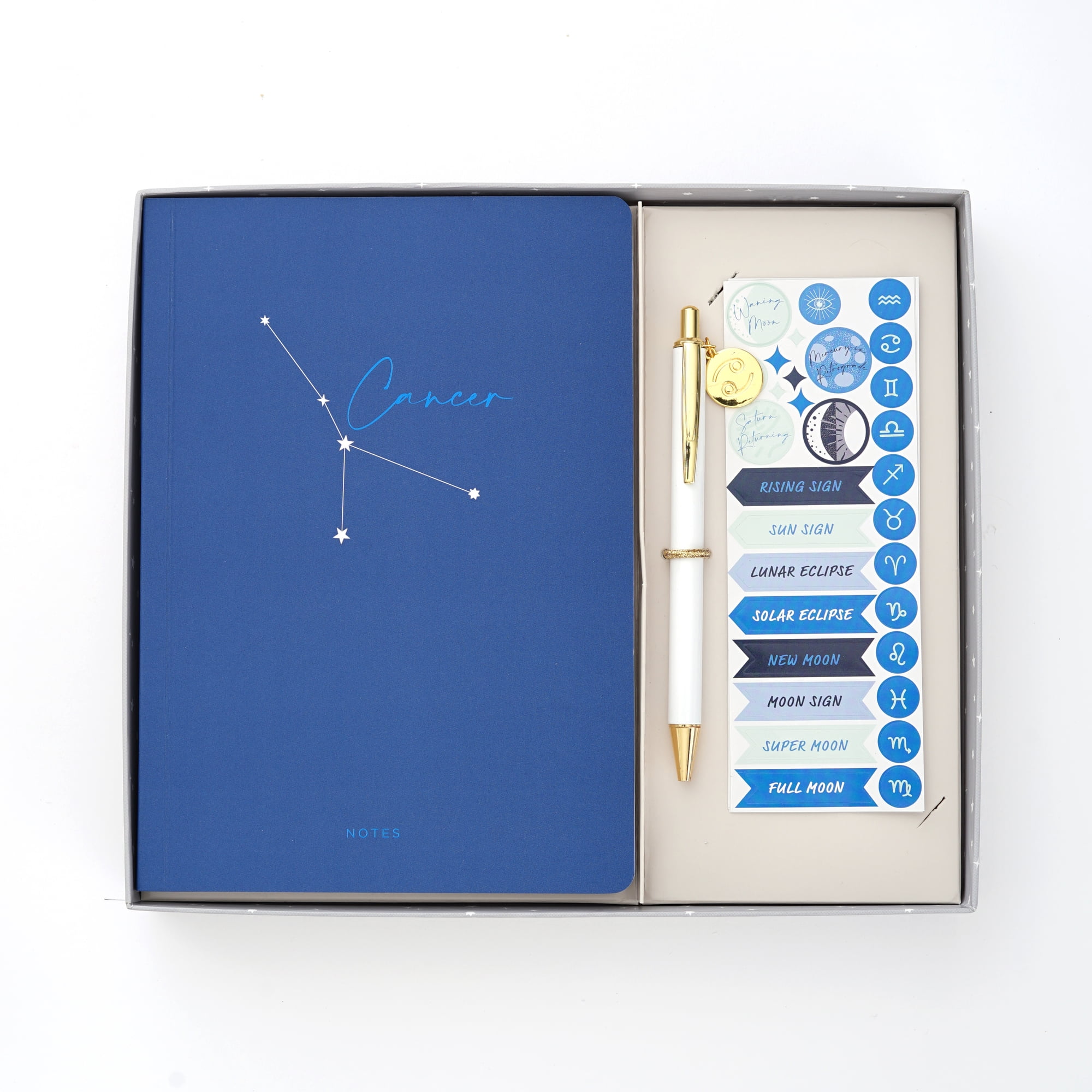Gartner Studios Cancer Casebound Blank Diary & Journal with Pen, Blue, 5.75" x 8.12", 96 Pages