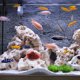 thumbnail image 5 of KAKOWELY Decoración de peceras, plantas de acuario, decoración artificial de plástico, decoración de peceras, plantas artificiales, 5 of 5
