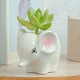 thumbnail image 3 of Yuarrent Innovador para soportes de plantas: maceta pequeña de cerámica duradera y elegante para suculentas Jardín y Patio gato siveriano, 3 of 6