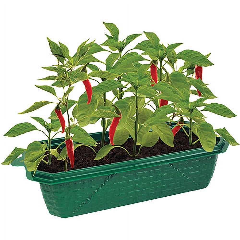 DuneCraft Hot Peppers - image 2 of 2