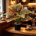 thumbnail image 5 of Gumesh Nearly Natural Artificial Dieffenbachia Plant Faux Greenery in Planter for Indoor Home Decor, 5 of 6