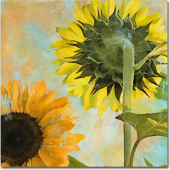 Trademark Fine Art "Soleil II" Canvas Art by Color Bakery