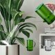 thumbnail image 1 of Hervidor de agua de pico largo, transparente para jardinería, boquilla alargada y vertido fácil, para el cuidado de flores en casa, para plantas de interior, dispositivo de riego de precisión, herram, 1 of 9