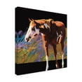 thumbnail image 2 of Trademark Fine Art 'Color Square I' Canvas Art by Julie T. Chapman, 2 of 4