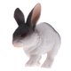 thumbnail image 4 of de realistas, mini de juguetes de , juguetes de aprendizaje de de plástico para , niñas, Yotijar Juguete de figura animal, 4 of 10