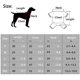 thumbnail image 5 of Piezas de Camisetas Minimalistas para Perros, Ropa para Gatos, Azul y Gris, 100% algodón, Perros Mini, Perros pequeños y Gatos (L-Apto para Gatos y Chihuahua, Gris y Azul), 5 of 5