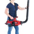 thumbnail image 6 of UlaREYoy Battery Powered Leaf Blower & Vacuum, Includes Shoulder Strap, 6 of 8