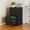 2D-BLACK, variant on Erosoei 3 Drawer Metal Vertical File Cabinet with Lock for Home Office ,Fits Letter/Legal/A4 Size Black