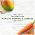 thumbnail image 4 of Gerber Organic Teethers Gentle Teething Wafers, Mango Banana Carrot - 1.7 OZ, 3 Count, 4 of 6