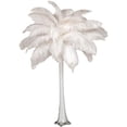 thumbnail image 5 of Plumas de avestruz naturales para una decoración encantadora del hogar, limpiadas y desinfectadas profesionalmente para un entorno seguro y no tóxico, 5 of 5