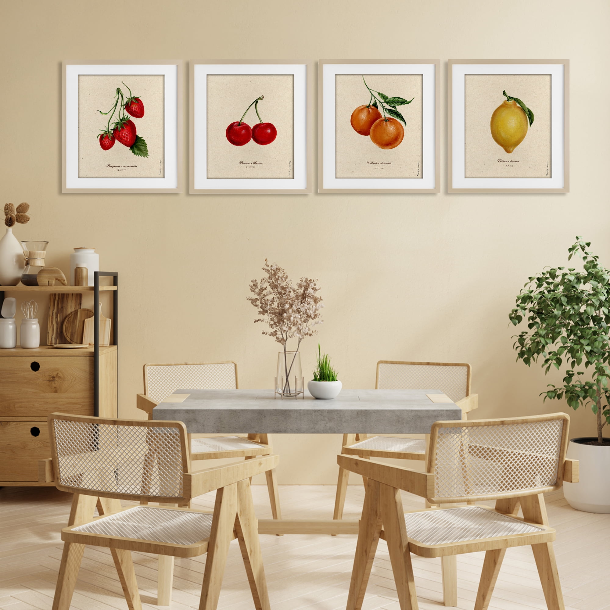 Stupell Industries Vintage Fruit Portraits 4 Piece Birch Framed Print Under Glass Set, design by Danielle Murray