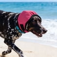 thumbnail image 4 of WHAMVOX Orejeras Ajustables Para Perros En Tela Transpirable Con Protección Y Ruido, 4 of 6