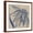 Brown Frame, variant on Art.com Indigo Coneflower Stretched Canvas Print Wall Art by Chariklia Zarris, 24" x 24"