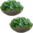 thumbnail image 1 of ZYPPPA  Percival 20.75" Shallow Outdoor Planter Bowl for Flowers and Succulents - Polyresin Double-Walled Design - Sable - Set of 2, 1 of 17