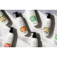 thumbnail image 6 of Loma Mango Moisturizing Hand and Body Lotion with Aloe Vera, Fast Absorbing Formula, 8 fl oz, 6 of 6