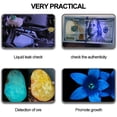 thumbnail image 5 of 51 UV LED Scorpion Detector Hunter Finder Ultra Violet Blacklight Flashlight - 1 Pack, 5 of 9