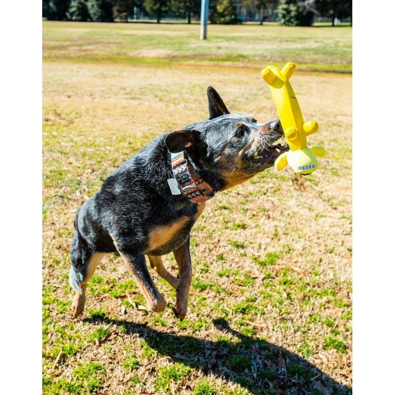 PetSmart Adds Toys 'R' Us Dog Toys