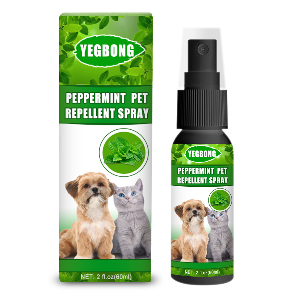 Antibiotic spray for dogs walmart Clearance