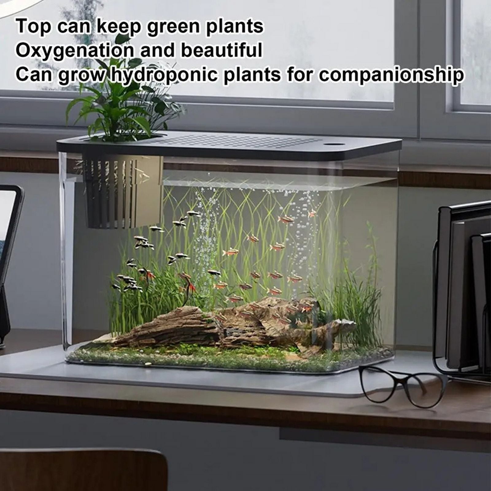 Fish Tank Aquarium Transparent Desktop Tank Turtle Aquarium Small Aquariums Decorative Fish Container for Fish Black