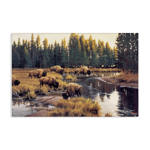 Stupell Industries Farmhouse Grazing Bison Along Riverbank Canvas Art, 24 x 16, by Paco Young
