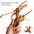 thumbnail image 4 of Mini Driftwood para Acuario Ramas de Madera Natural Decoraciones para Peceras de árbol Driftwood Surtido (Paquete de 30), 4 of 8