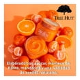 thumbnail image 3 of Exfoliante corporal Tree Hut tangerine azúcar de karité 510 g, 3 of 4