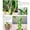 B, variant on Bwiyojiz Home Decoration Ornaments Fake Plants Artificial Green Simulation Potted Office Hotel Lobby, Gifts for Family, Multicolor