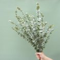 thumbnail image 5 of 20 piezas tallos de eucalipto, tallos de hojas de eucalipto artificiales, flores artificiales falsas para el hogar, oficina, ramo de flores, centro de mesa, 5 of 5