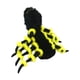 thumbnail image 3 of Disfraz de perro araña, disfraz para mascota, decoración, disfraz con hebilla, accesorio de araña SG, 3 of 9
