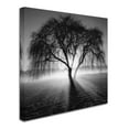 thumbnail image 3 of Trademark Fine Art Andy Westface Promise Canvas Wall Art - 18x18, 3 of 4