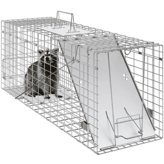 Live Animal Cage Trap, 31" x 10" x 12" Humane Cat Trap Galvanized Iron, Folding Animal Trap with Handle for Rabbits, Stray Cats, Squirrels, Raccoons, Groundhogs and Opossums