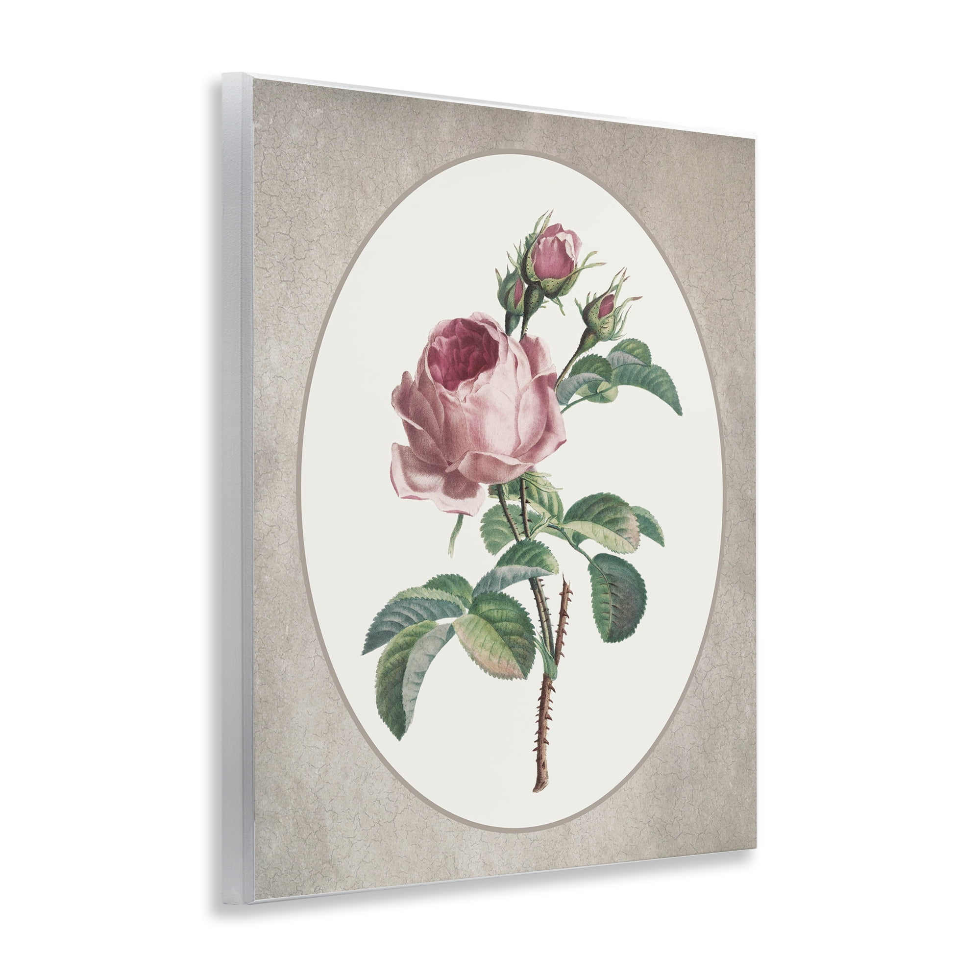 Vintage Rose within Oval Wall Plaque Art, design by Lettered and Lined