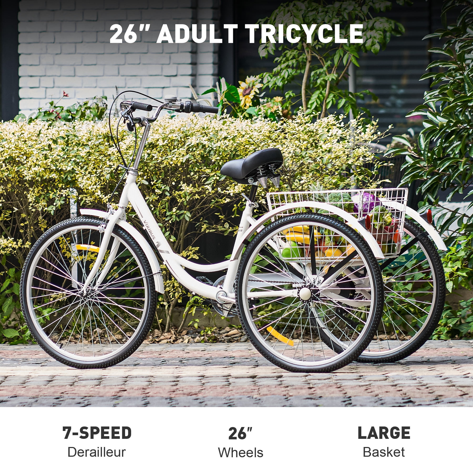 meijer tricycle